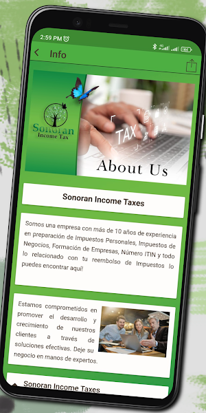 Sonoran Income Tax Screenshot 2