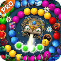 Zumbla Pro