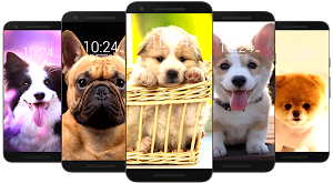 🦮 Dog Wallpaper HD 🦮 Screenshot 2