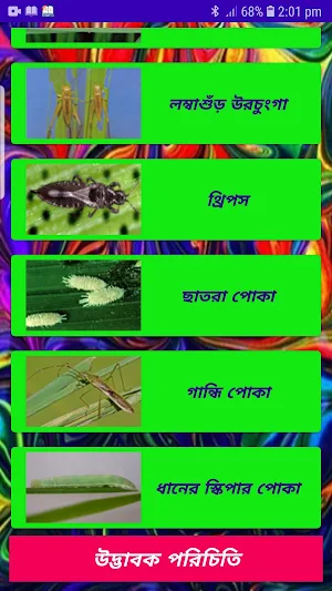 ধানের ক্ষতিকর পোকা দমন ~ Rice Insects Screenshot 1