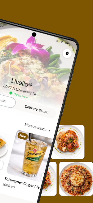 Livello To Go Screenshot 1