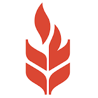 Fireflour Pizza