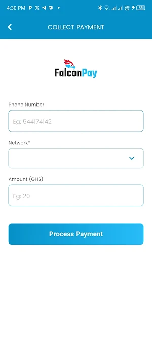 FalconPay Screenshot 3