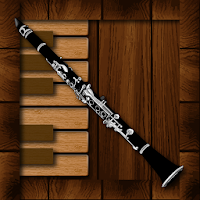Professional Clarinet