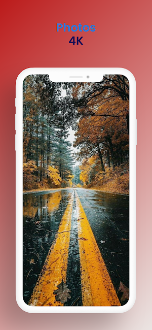 HD Nature Wallpaper 2022 Screenshot 2