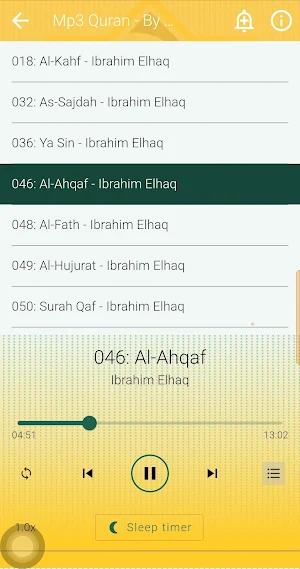 Ibrahim ElHaq Offline Quran Screenshot 2