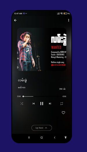 Mega Music Screenshot 0