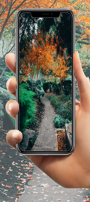 Nature Wallpaper HD Screenshot 1