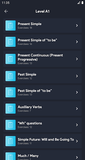 English Grammar Exercises Screenshot 1