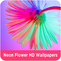 Neon Flower HD Wallpapers