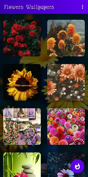 🌺🌹🌷 Flowers Wallpapers : Colorful Flowers Bgs Screenshot 1