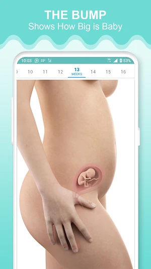 Pregnancy App: Baby Tracker Screenshot 3