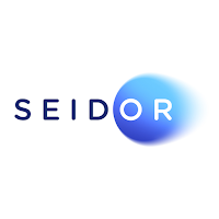 Seidor Parking