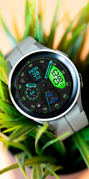 PROTOCAN CTS34 Watch face Screenshot 3