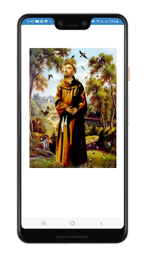 Novena a San Francisco de Asís Screenshot 0
