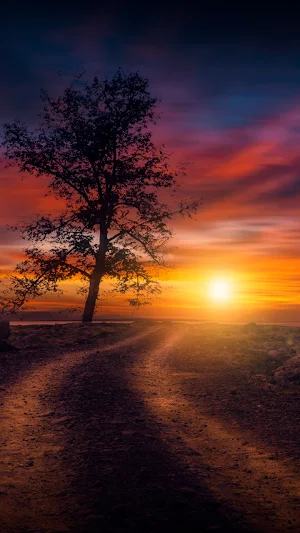 Sunset Wallpaper Screenshot 0