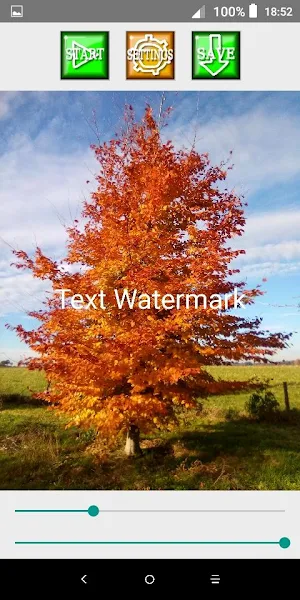 Text WaterMark Screenshot 3
