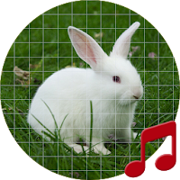 Rabbit call sounds ~ Sboard.pro