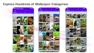 The Amphibian Gallery Screenshot 0