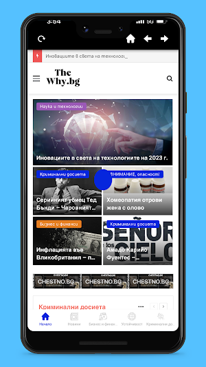 TheWhyBG Screenshot 1