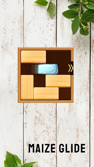 Maze Glide Screenshot 1