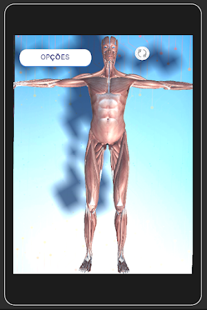 Anatomy Systems Screenshot 1