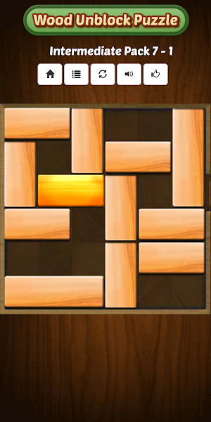 Unblock Wood Puzzle Games 2021 Screenshot 2