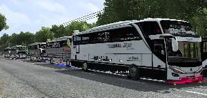 Livery Bus Simulator X Screenshot 0