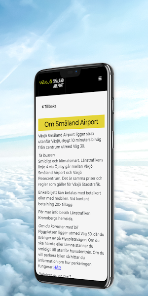 Småland Airport Screenshot 2