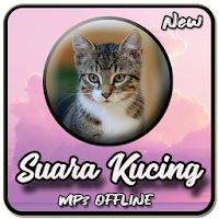 Suara Kucing Terbaru Offline