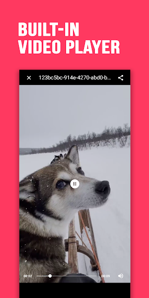 Video Downloader for Triller Screenshot 3