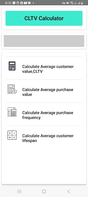 CLTV Calculator Screenshot 2