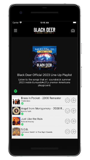 Black Deer Festival Screenshot 3