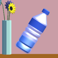 Bottle Flip