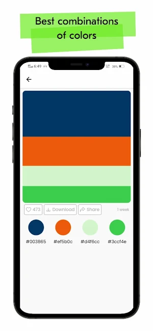 Colorhunt Screenshot 1