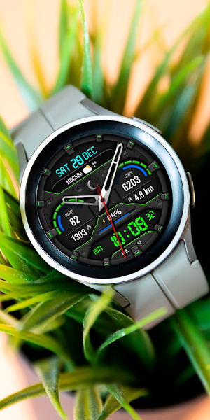 Hybrid WARTAN WS100 Watch face Screenshot 3