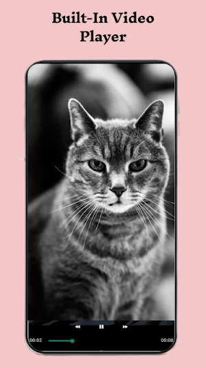 Video Downloader for Social Screenshot 3