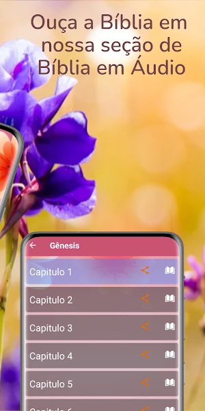 Bíblia da Mulher Cristã Screenshot 1