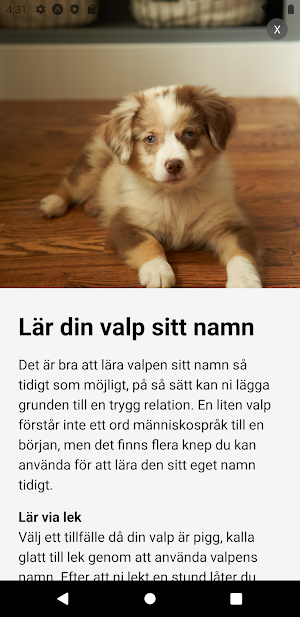 Lassie Screenshot 2