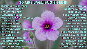 Lagu Bugis Sedih Full Album Screenshot 0
