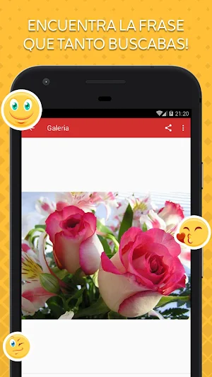 Imágenes de Flores Screenshot 2