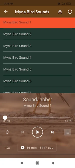 Mynas Bird Sounds Screenshot 3