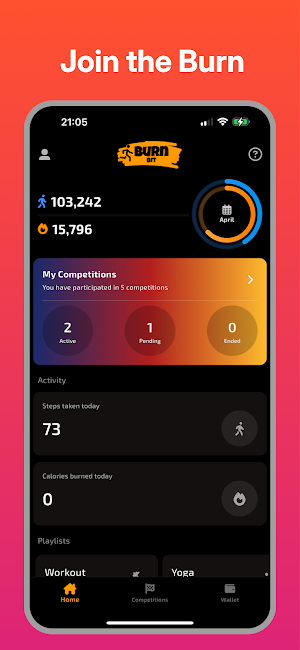 BurnBit Screenshot 0