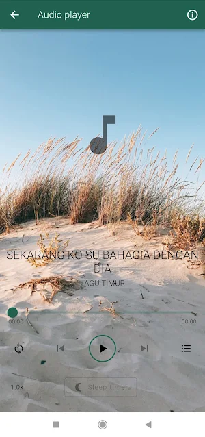 Lagu Timur Campuran Viral Screenshot 2