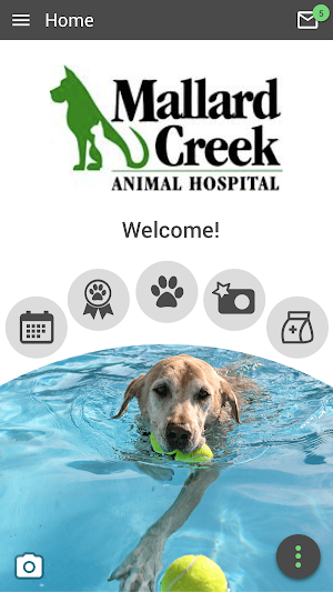 Mallard Creek Animal Hospital Screenshot 0
