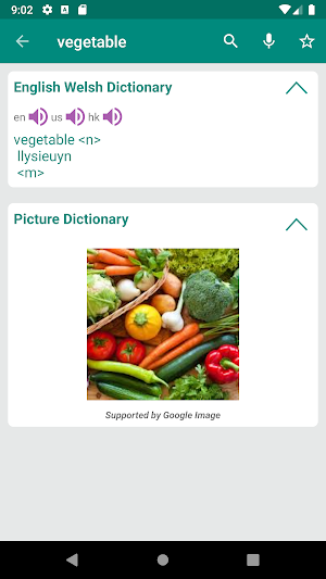 Welsh English Dictionary Screenshot 1