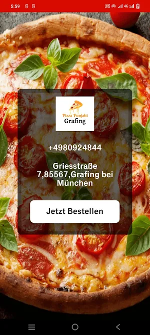 PIZZA PUNJABI GRAFING Screenshot 0