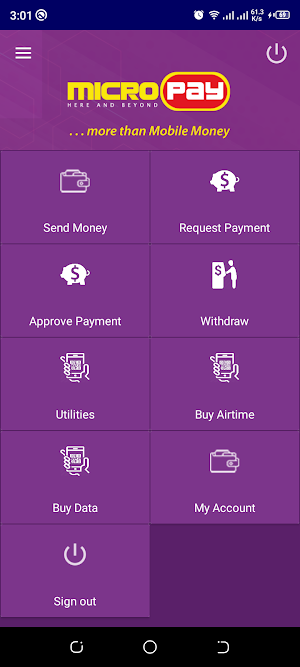 MicroPay Mobile Money Screenshot 2