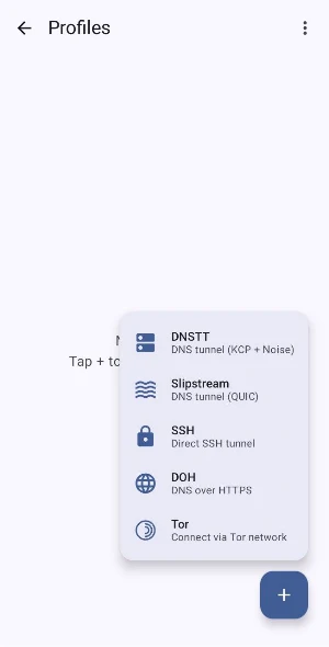 SlipTunnelVPN Screenshot 1
