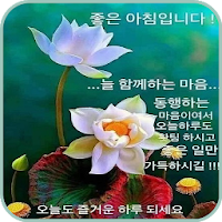 좋은 아침, 좋은 오후, 좋은 밤 카카오 톡으로 친구들과 공유 할 이미지